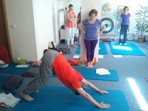 form-prof-dirigida01